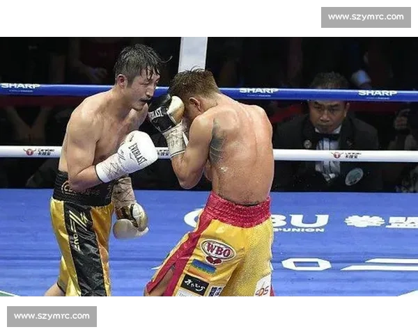 木村翔vs强敌巅峰对决解析职业生涯关键一战世界拳坛风云下的